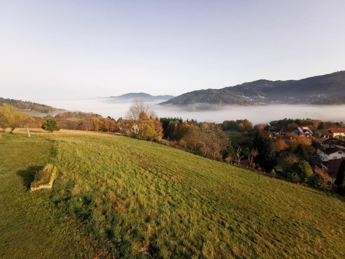 Villa Haus Am Berg Mit Wellnessbereich, Bar Und Panorama Bühlertal Exterior foto